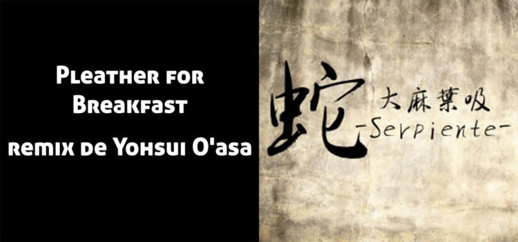 Pleather for breakfast (Remix por Yohsui O'asa), del disco "Serpiente", un remix de No More Heroes