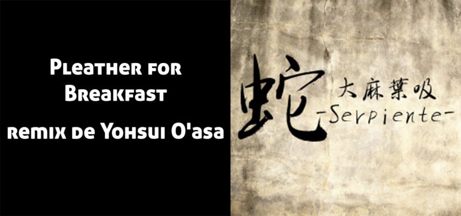 Pleather for breakfast (Remix por Yohsui O'asa), del disco "Serpiente", un remix de No More Heroes
